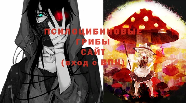 тгк Абаза