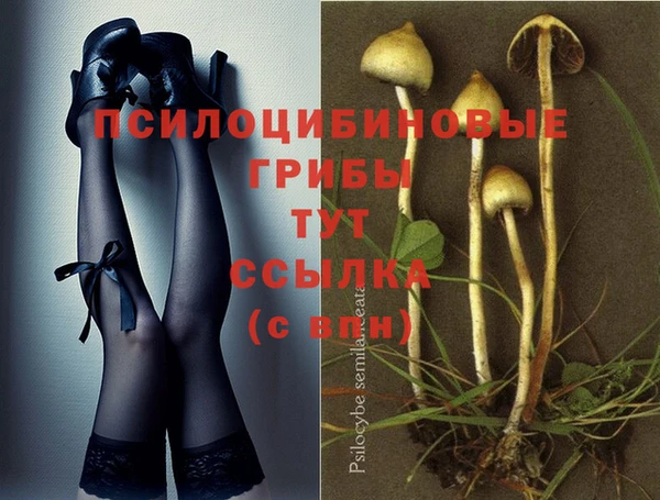 спиды Абдулино