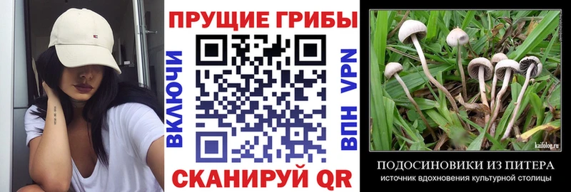 Псилоцибиновые грибы Magic Shrooms  Тотьма 